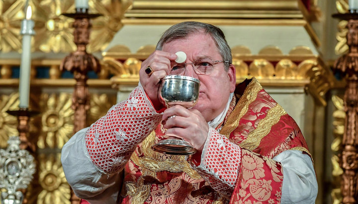 Cardinal Raymond Burke. Photo: gloria.tv