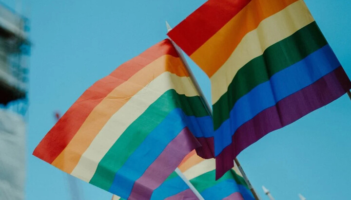 LGBT Flag. Photo: TSN