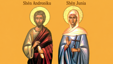 Shenjtorët Androniku dhe Junia, Apostuj