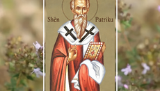 Shën Patriku i Prusës dhe bashkëmartirët e tij