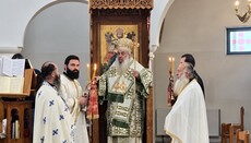 Mitropoliti Nathanail drejtoi Liturgjinë për Shën Llukanë në Gjirokastër