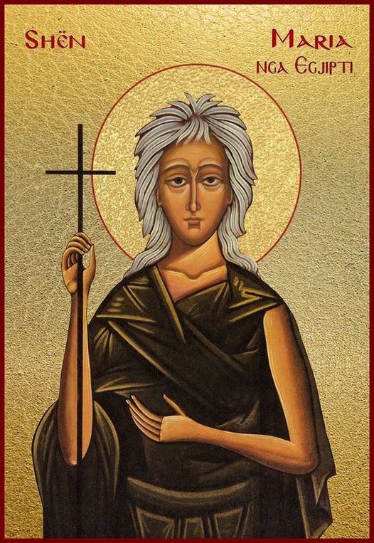 1254646464.jpg (119 KB)