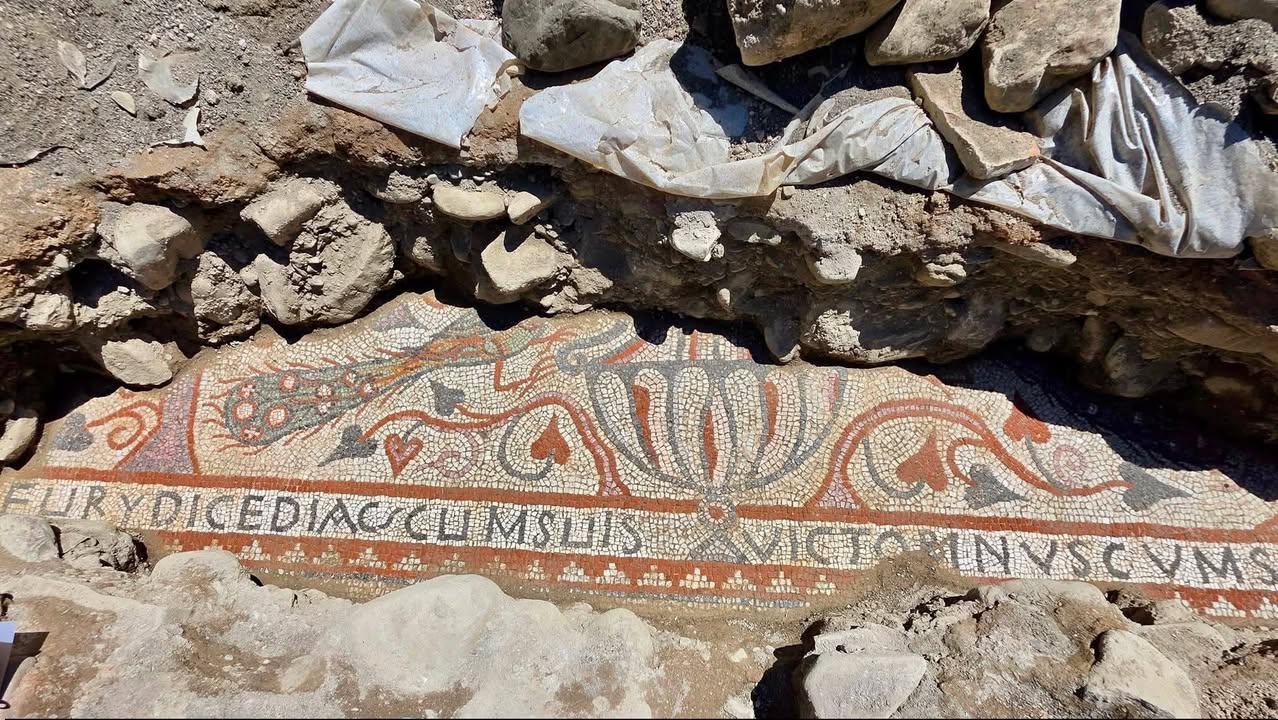 Mozaikë paleokristianë zbuluar në Bazilikën e Skampinit, Elbasan - photo 2