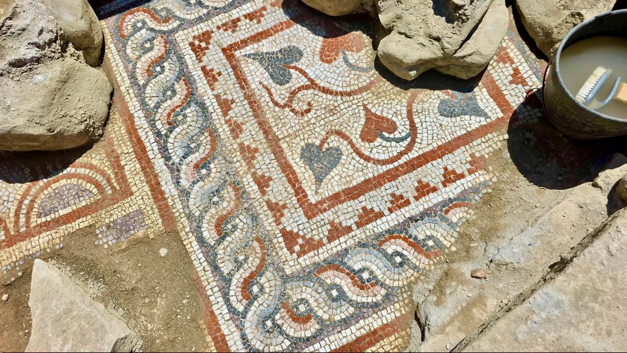 Mozaikë paleokristianë zbuluar në Bazilikën e Skampinit, Elbasan - photo 3